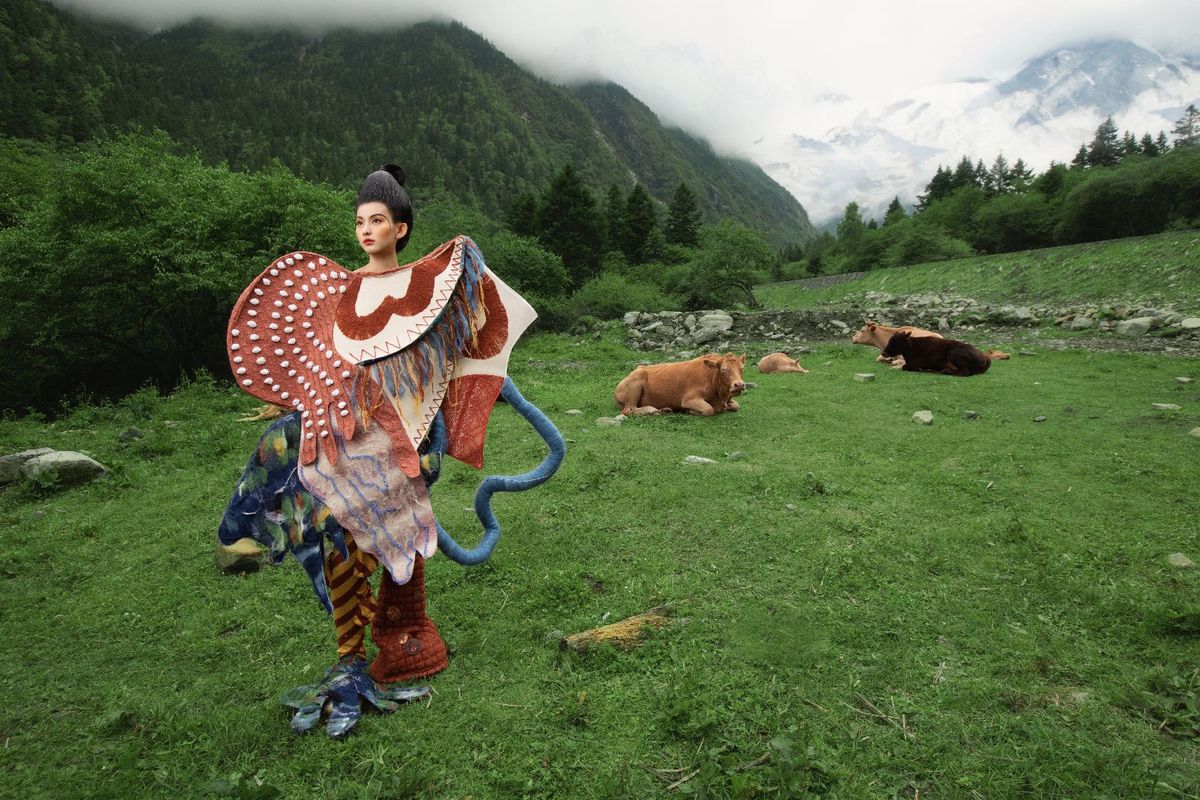 一位女士拿着雨伞站在一个草地上 周围有牛和山羊。