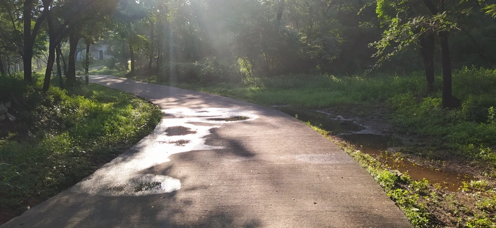 空山新雨后