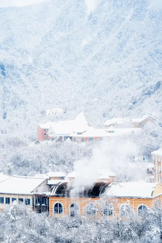 一个被雪覆盖的山 前景中有建筑和树木。