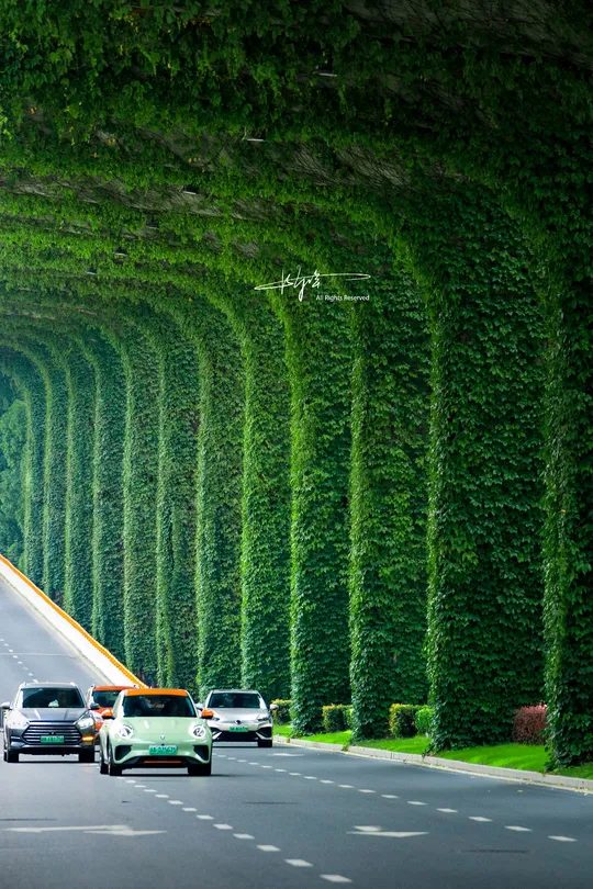 汽车在一条有绿色墙壁的路上行驶