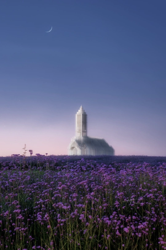 一片紫花丛中的塔 天空中挂着月亮