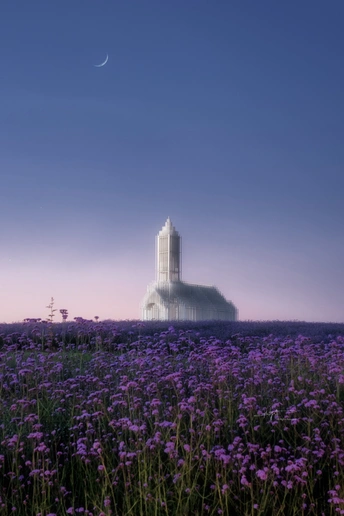 一片紫花丛中的塔 天空中挂着月亮
