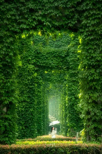 一位女士手持雨伞穿越绿树成荫的隧道