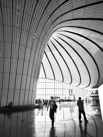 一些人走进了一座大型建筑物