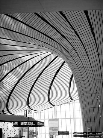 一张黑白照片 车站天花板上有曲线