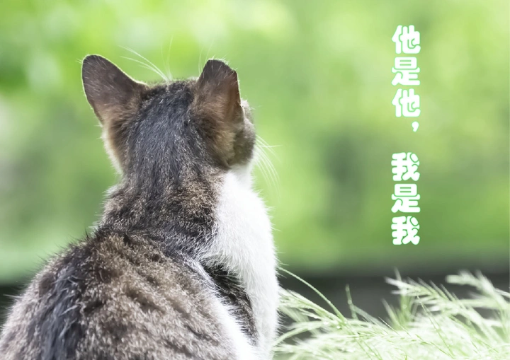 他是他，我是我