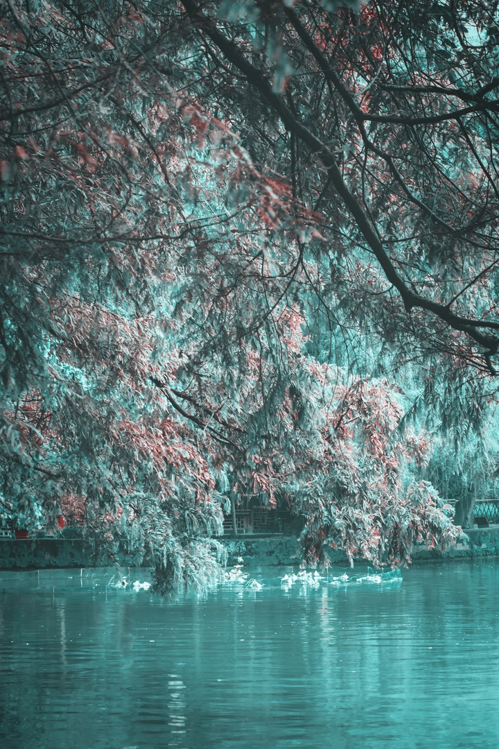 雪色碧湖