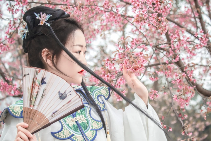 春庭飞花
