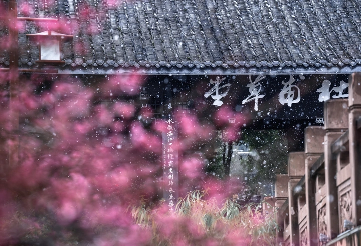 雪舞草堂