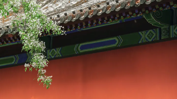 相思满园
