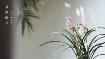 草堂幽兰