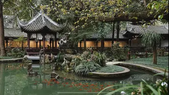 一园春色半园兰