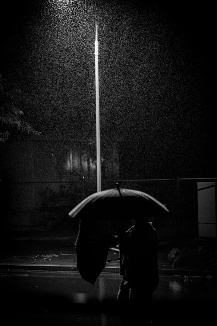 无声的雨夜