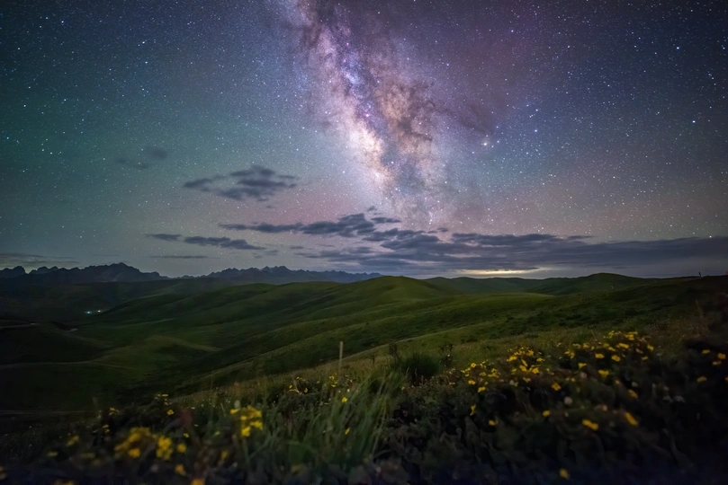 山丘上的夜空 鲜花和星星