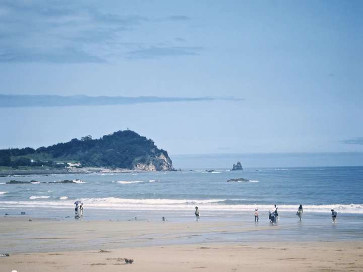 夏日风情