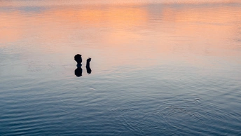夕阳下在水中漂浮的人