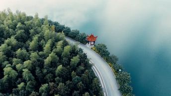 一个小屋被森林环绕 周围有一条水边公路的空中视角