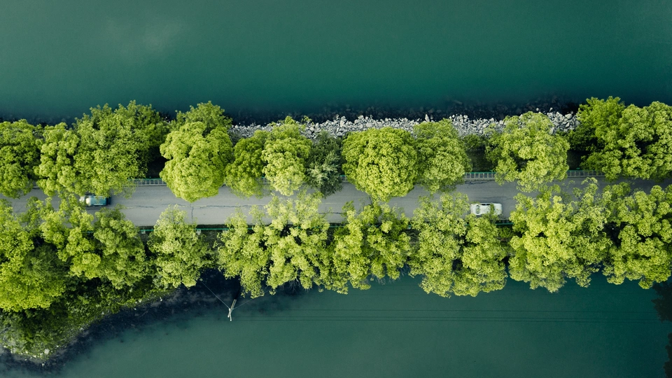 环绕着绿树和湖泊的水边的公路 aerial