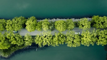 环绕着绿树和湖泊的水边的公路 aerial