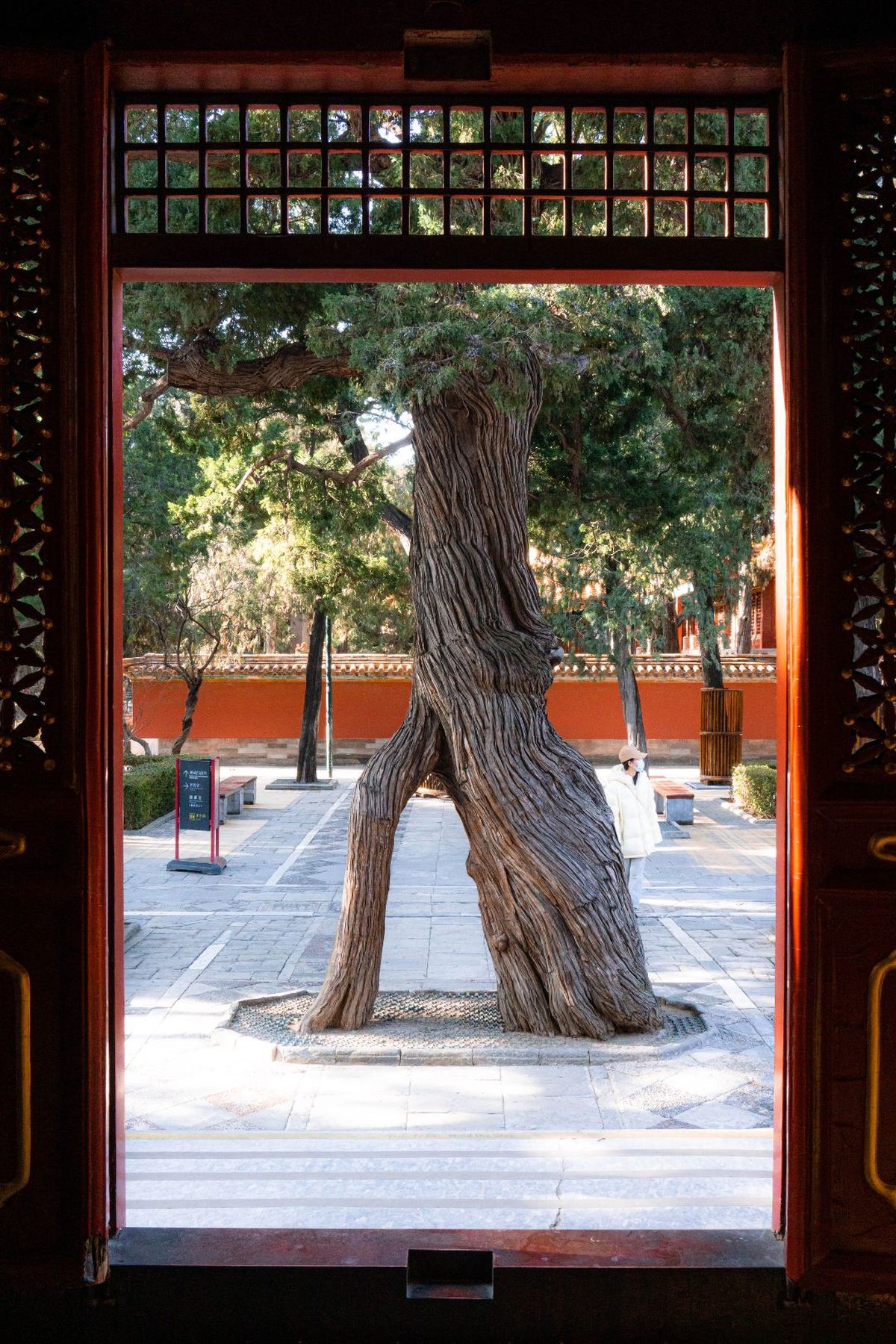 雕刻木树的神庙入口