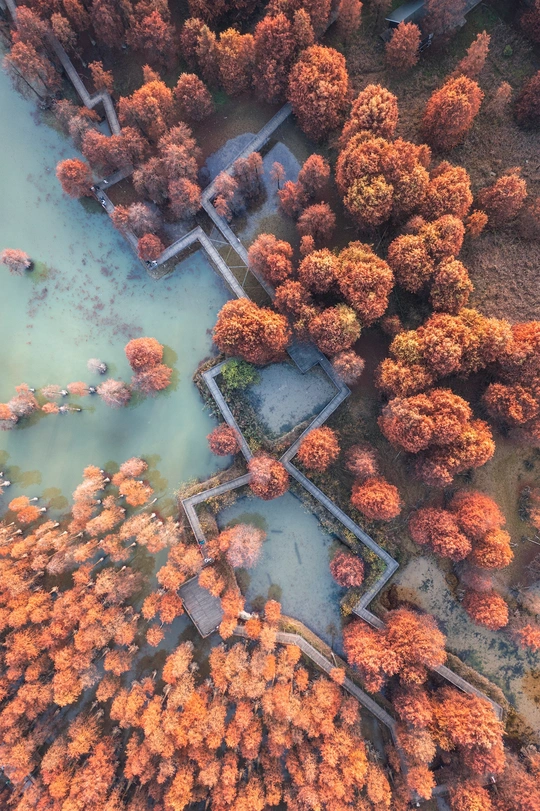 被树木环绕的岛屿 位于湖泊中