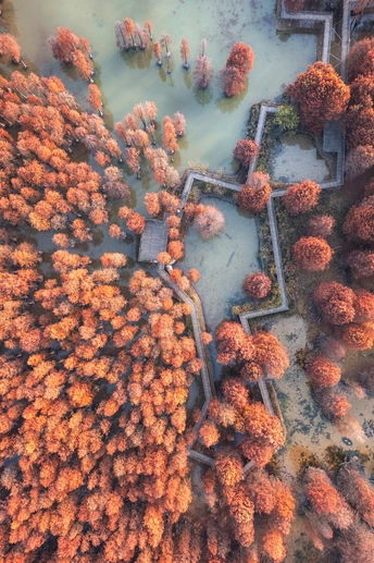 环绕着树木的小岛的 aerial landscape