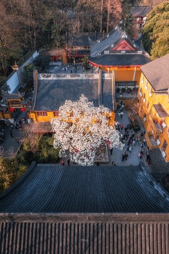 城市中的佛塔 aerial view