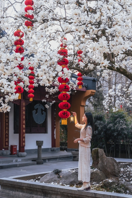 一位站在开满白色花朵的树下的女人