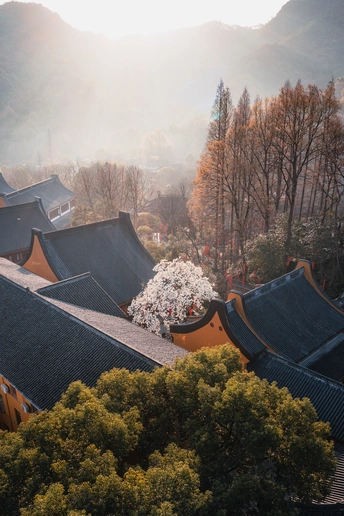 背景中有树木和山峦的建筑物屋顶