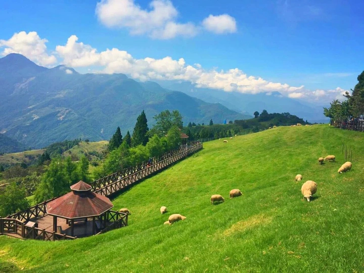 台湾旅游🍃