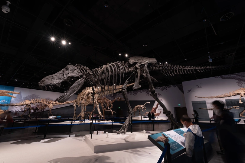 人们在博物馆里看着恐龙的骨骼模型。