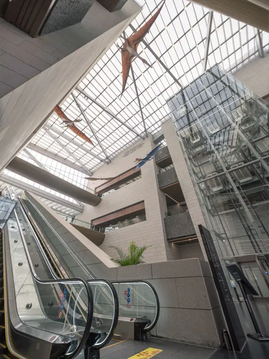 建筑内的自动扶梯上有人