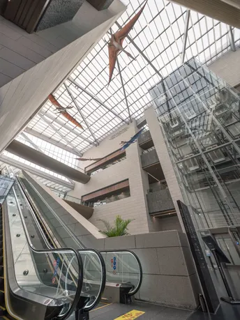 建筑内的自动扶梯上有人