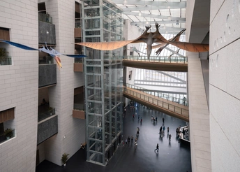 悬挂在一栋大楼天花板上的一架飞机