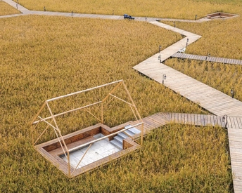 木板路通向一片农田