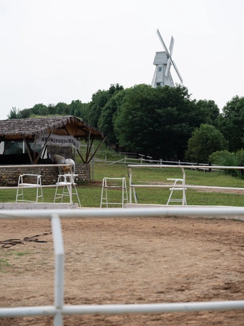 一匹白马站在一个有围墙的田野后面 背景中有风车。