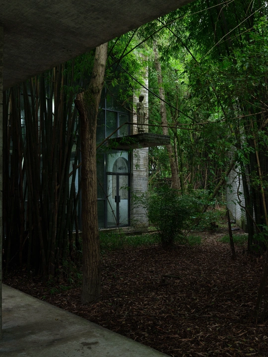 一座被树木环绕的老建筑