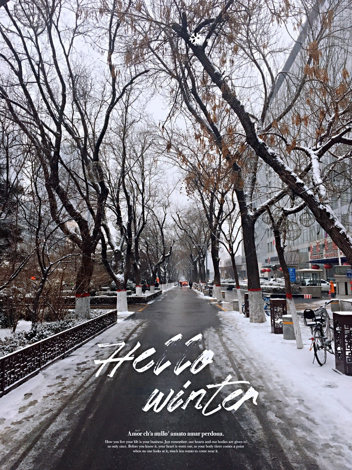 雪景