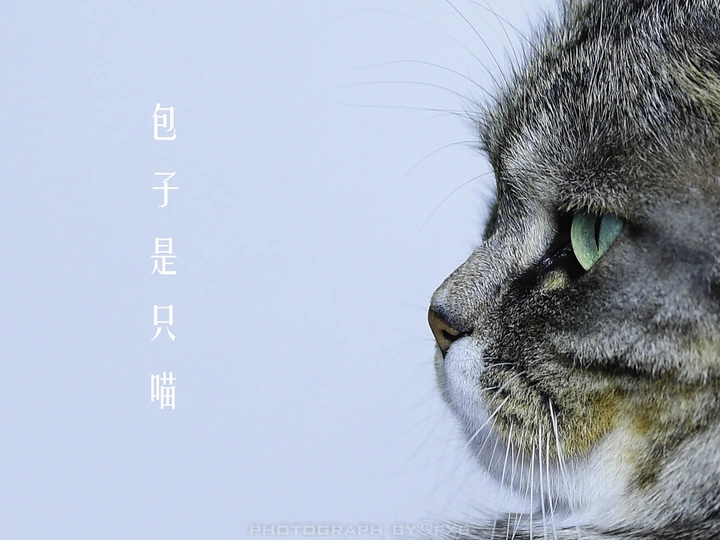 “包子”爱躺平