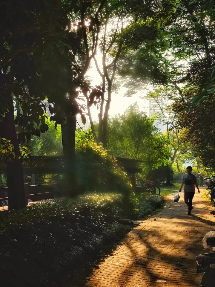 夏日的清晨