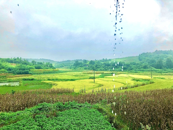 雨中乡村
