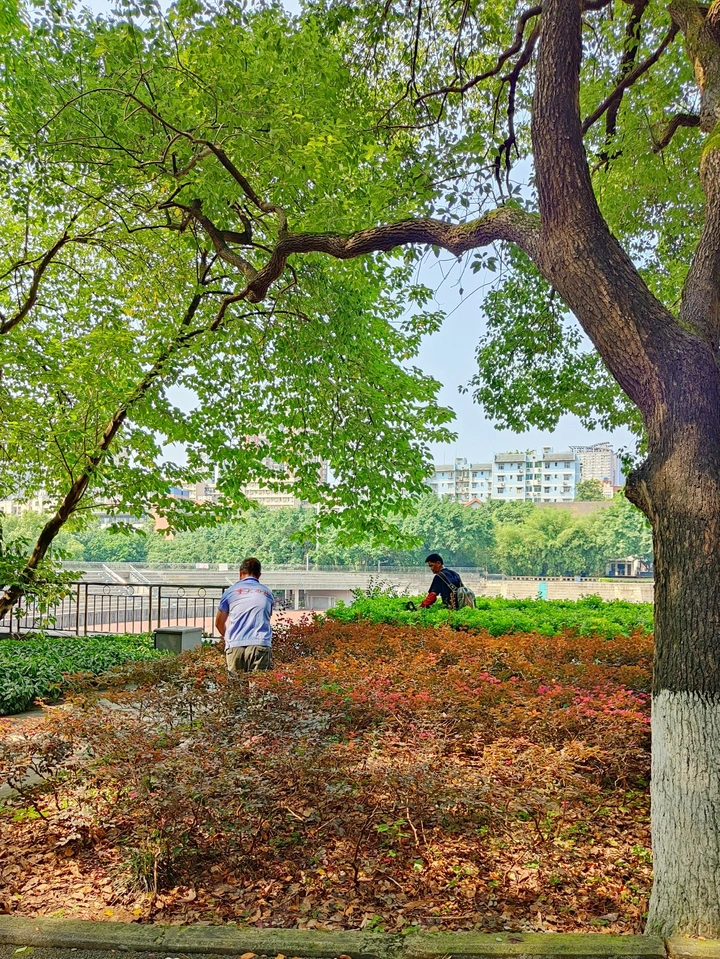 校园美容师