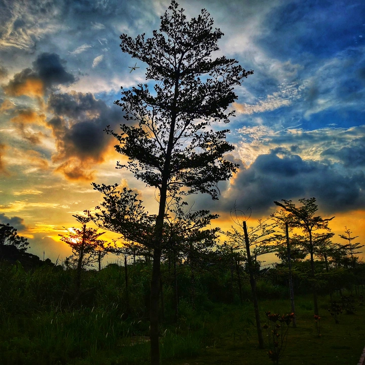 松湖晚霞