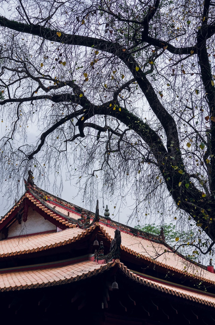 五月光孝寺
