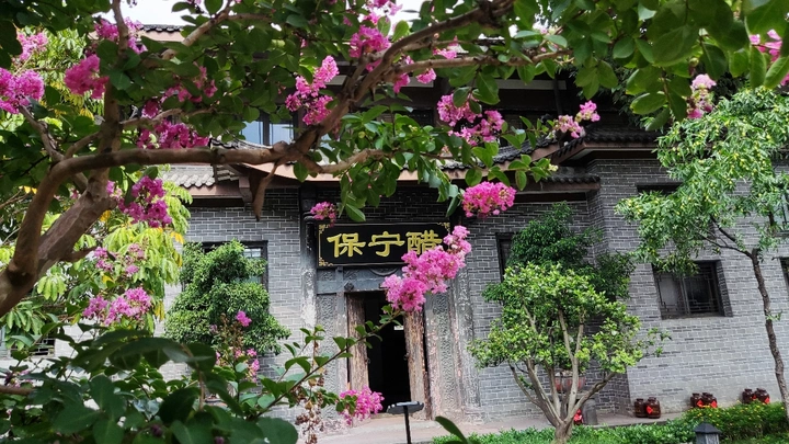 阆中保宁醋