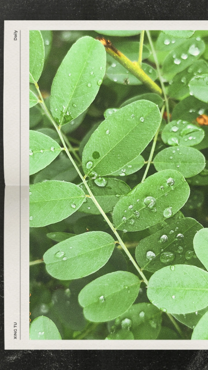 雨后