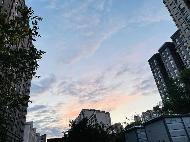 视野