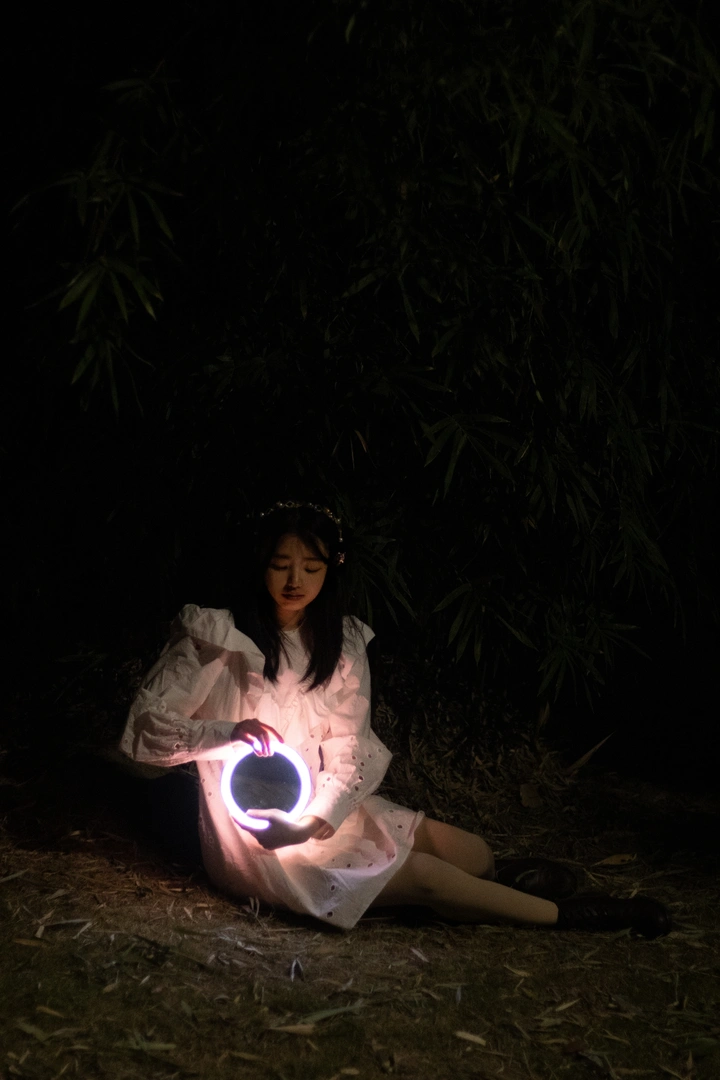 向往自由的鸟不会畏惧盘旋的鹰