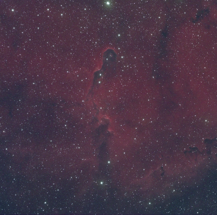 象鼻星云IC1396