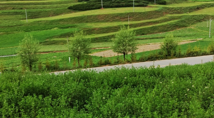 母南旅游札记一一临潭风光